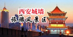 欧美女生嘘嘘内射视频网站中国陕西-西安城墙旅游风景区